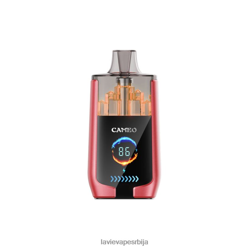 лед од лубенице LAVIE CAMEO 30000 пуффс 0Z4H0214 | Lavie Vape Review
